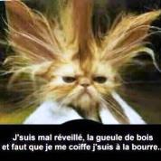 Avatar du membre