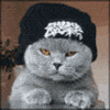 Avatar du membre