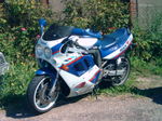 Avatar du membre