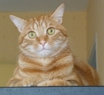Avatar du membre