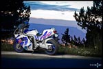 Avatar du membre