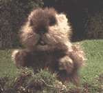 Avatar du membre