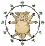 Avatar du membre