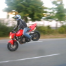 Avatar du membre