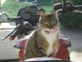 Avatar du membre