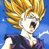 Avatar du membre