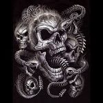 Avatar du membre