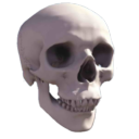 Avatar du membre