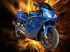 Avatar du membre