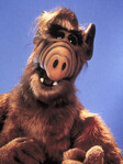 Avatar du membre